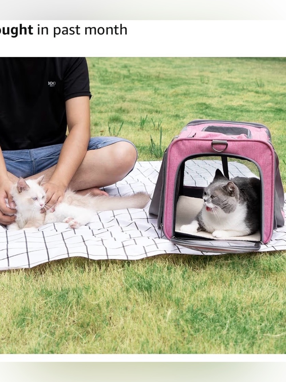 💕 NIB Pink Soft-Sided Cat or Small Dog Pet Carrier with Mesh Panels - Picture 10 of 16